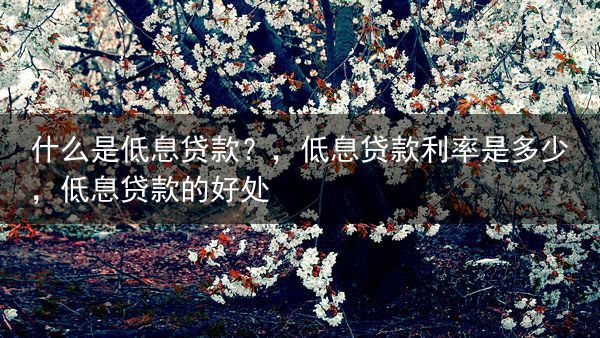 什么是低息贷款？