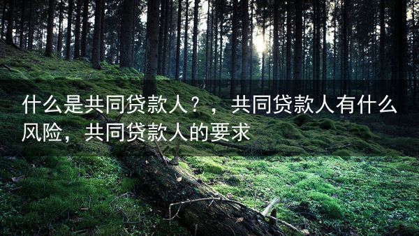 什么是共同贷款人？，共同贷款人有什么风险，共同贷款人的要求