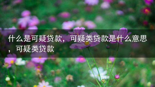 什么是可疑贷款，可疑类贷款是什么意思，可疑类贷款