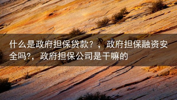 什么是政府担保贷款？