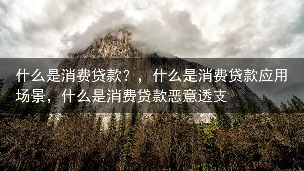 什么是消费贷款？