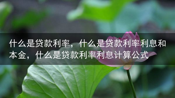 什么是贷款利率，什么是贷款利率利息和本金，什么是贷款利率利息计算公式