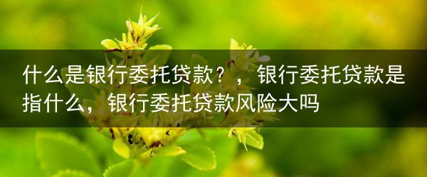 什么是银行委托贷款？，银行委托贷款是指什么，银行委托贷款风险大吗