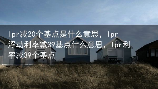lpr减20个基点是什么意思，lpr浮动利率减39基点什么意思，lpr利率减39个基点