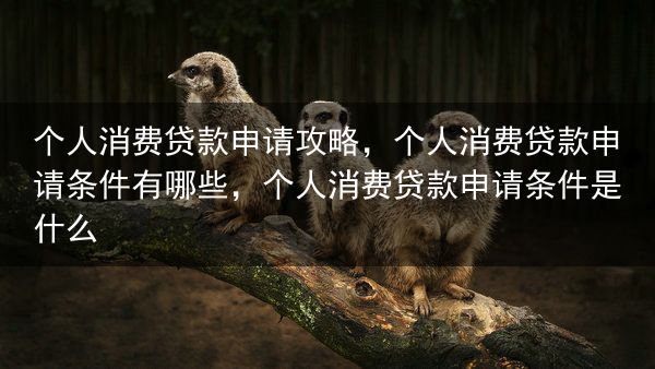 个人消费贷款申请攻略，个人消费贷款申请条件有哪些，个人消费贷款申请条件是什么