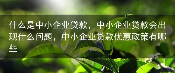什么是中小企业贷款，中小企业贷款会出现什么问题，中小企业贷款优惠政策有哪些