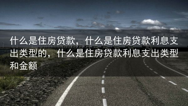 什么是住房贷款，什么是住房贷款利息支出类型的，什么是住房贷款利息支出类型和金额