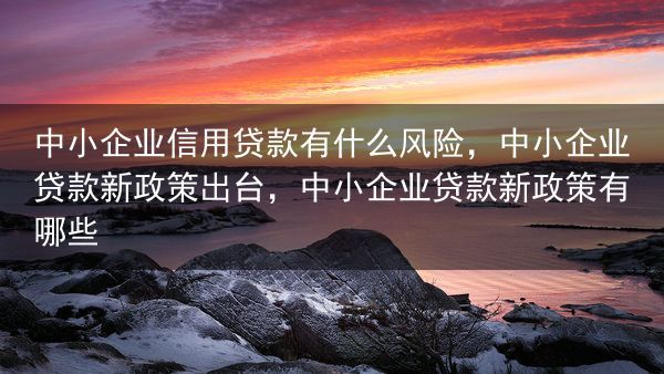 中小企业信用贷款有什么风险，中小企业贷款新政策出台，中小企业贷款新政策有哪些
