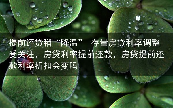 提前还贷稍“降温” 存量房贷利率调整受关注，房贷利率提前还款，房贷提前还款利率折扣会变吗