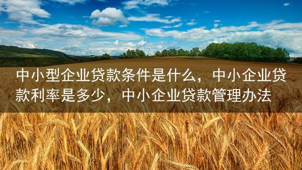 中小型企业贷款条件是什么