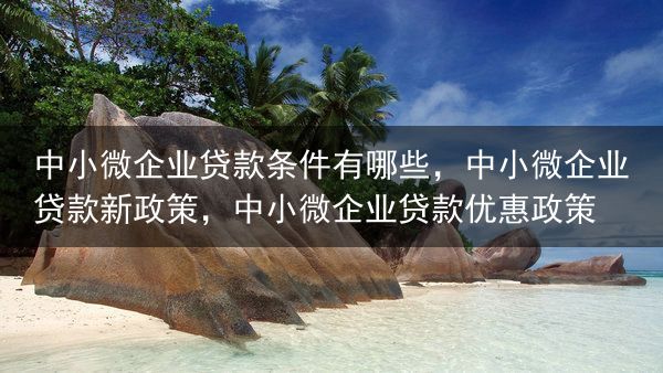 中小微企业贷款条件有哪些，中小微企业贷款新政策，中小微企业贷款优惠政策
