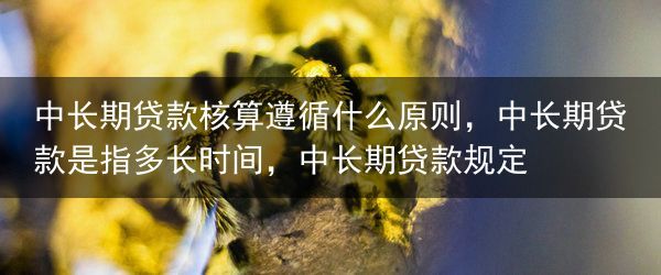 中长期贷款核算遵循什么原则，中长期贷款是指多长时间，中长期贷款规定