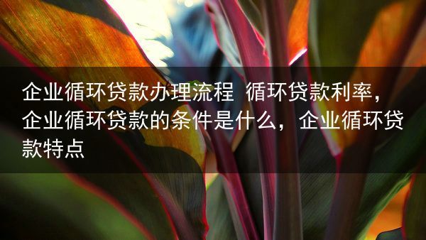 企业循环贷款办理流程 循环贷款利率，企业循环贷款的条件是什么，企业循环贷款特点