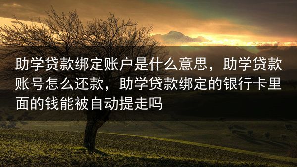 助学贷款绑定账户是什么意思，助学贷款账号怎么还款，助学贷款绑定的银行卡里面的钱能被自动提走吗