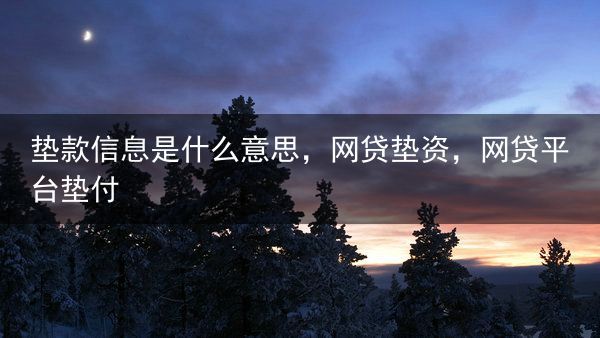 垫款信息是什么意思，网贷垫资，网贷平台垫付