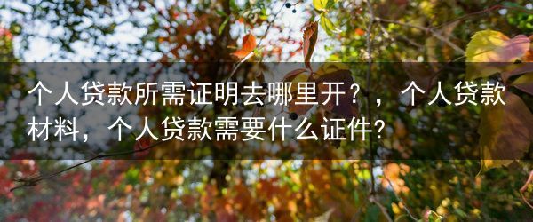 个人贷款所需证明去哪里开？，个人贷款材料，个人贷款需要什么证件?