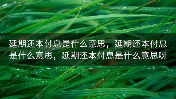 延期还本付息是什么意思，延期还本付息是什么意思，延期还本付息是什么意思呀