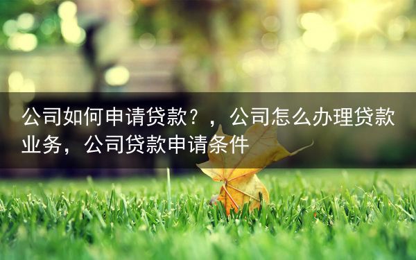 公司如何申请贷款？，公司怎么办理贷款业务，公司贷款申请条件