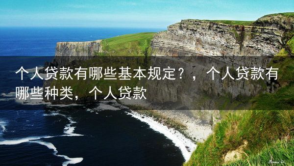 个人贷款有哪些基本规定？，个人贷款有哪些种类，个人贷款