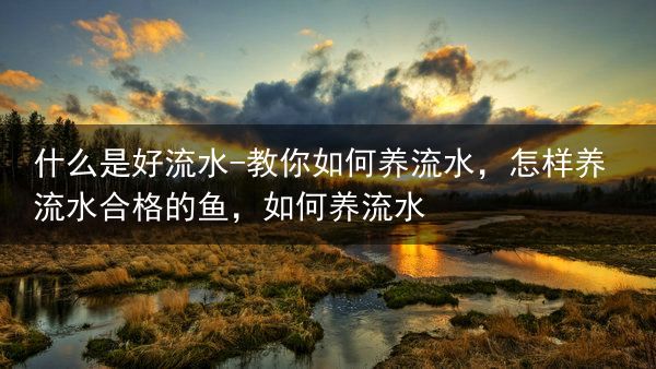 什么是好流水?教你如何养流水