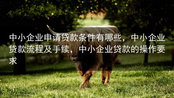 中小企业申请贷款条件有哪些，中小企业贷款流程及手续，中小企业贷款的操作要求
