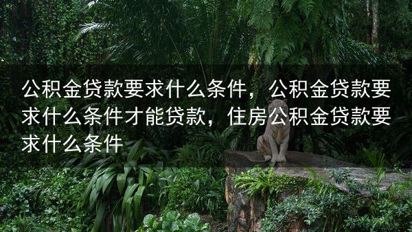 公积金贷款要求什么条件，公积金贷款要求什么条件才能贷款，住房公积金贷款要求什么条件