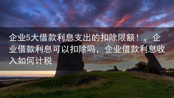 企业5大借款利息支出的扣除限额！