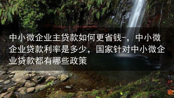 中小微企业主贷款如何更省钱-，中小微企业贷款利率是多少，国家针对中小微企业贷款都有哪些政策