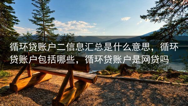 循环贷账户二信息汇总是什么意思，循环贷账户包括哪些，循环贷账户是网贷吗