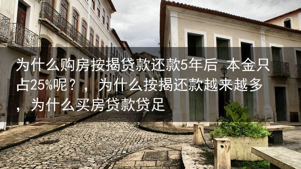 为什么购房按揭贷款还款5年后 本金只占25%呢？