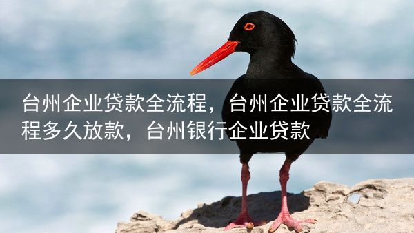 台州企业贷款全流程