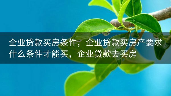 企业贷款买房条件，企业贷款买房产要求什么条件才能买，企业贷款去买房