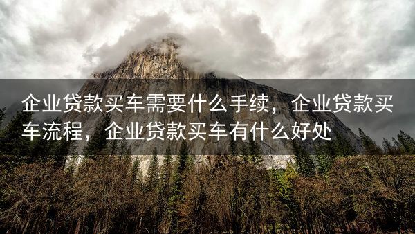 企业贷款买车需要什么手续，企业贷款买车流程，企业贷款买车有什么好处