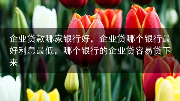 企业贷款哪家银行好，企业贷哪个银行最好利息最低，哪个银行的企业贷容易贷下来
