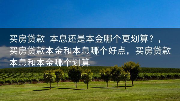 买房贷款 本息还是本金哪个更划算？，买房贷款本金和本息哪个好点，买房贷款本息和本金哪个划算