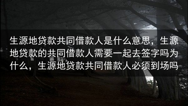 生源地贷款共同借款人是什么意思，生源地贷款的共同借款人需要一起去签字吗为什么，生源地贷款共同借款人必···