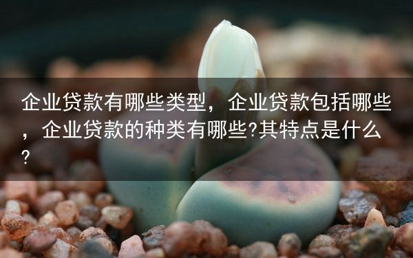 企业贷款有哪些类型