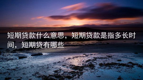 短期贷款什么意思，短期贷款是指多长时间，短期贷有哪些