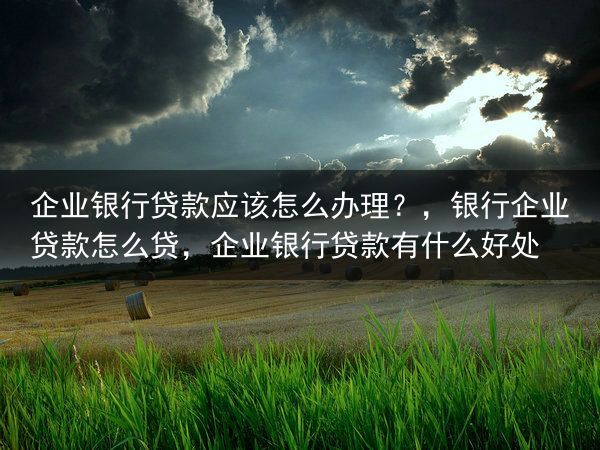 企业银行贷款应该怎么办理？，银行企业贷款怎么贷，企业银行贷款有什么好处