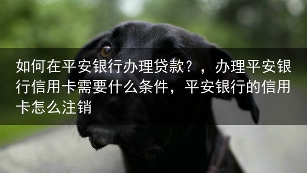 如何在平安银行办理贷款？，办理平安银行信用卡需要什么条件，平安银行的信用卡怎么注销