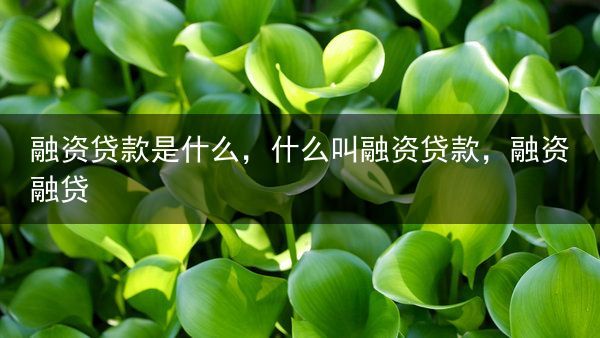 融资贷款是什么，什么叫融资贷款，融资融贷