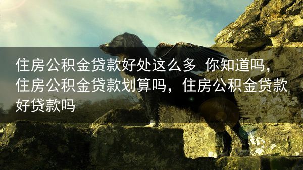 住房公积金贷款好处这么多 你知道吗，住房公积金贷款划算吗，住房公积金贷款好贷款吗
