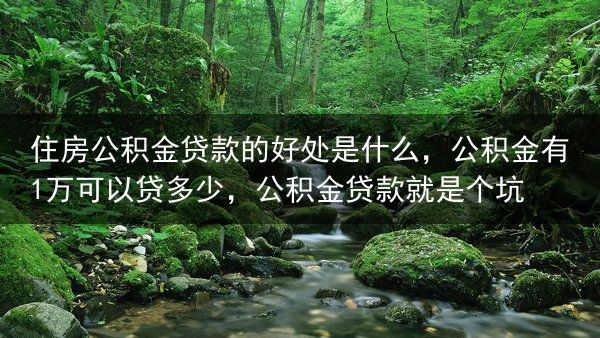 住房公积金贷款的好处是什么，公积金有1万可以贷多少，公积金贷款就是个坑