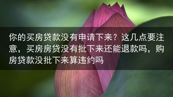 你的买房贷款没有申请下来？这几点要注意