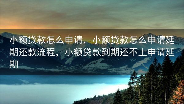 小额贷款怎么申请，小额贷款怎么申请延期还款流程，小额贷款到期还不上申请延期