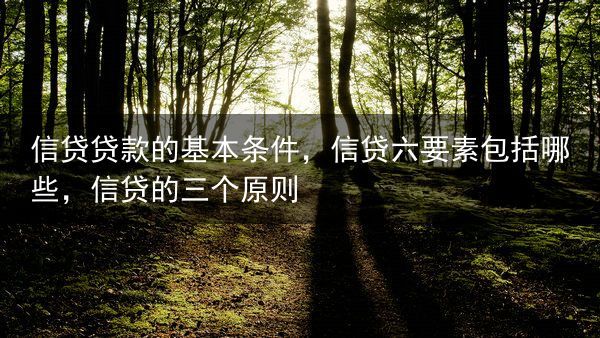 信贷贷款的基本条件