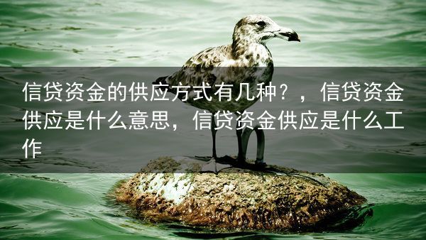 信贷资金的供应方式有几种？，信贷资金供应是什么意思，信贷资金供应是什么工作