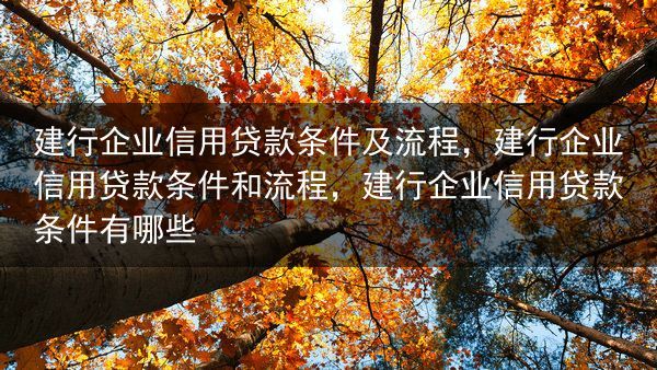 建行企业信用贷款条件及流程，建行企业信用贷款条件和流程，建行企业信用贷款条件有哪些