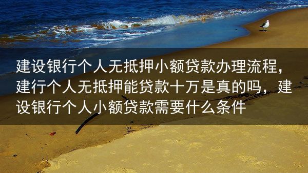 建设银行个人无抵押小额贷款办理流程
