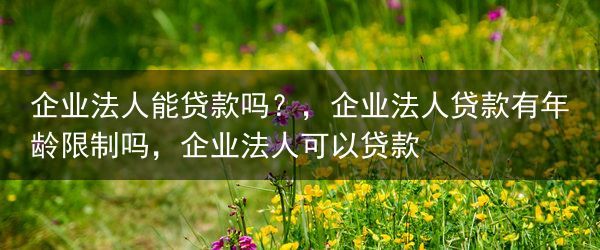 企业法人能贷款吗？，企业法人贷款有年龄限制吗，企业法人可以贷款